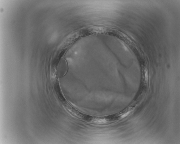 X0000061140507200512091937