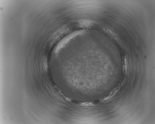 X0000061140508200512091937