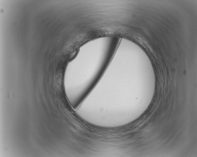 X0000061140509200512091937