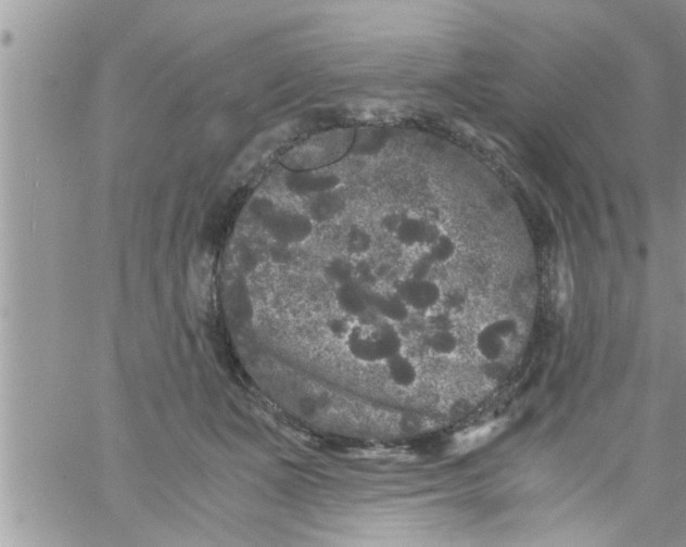 X0000061140511200512091937