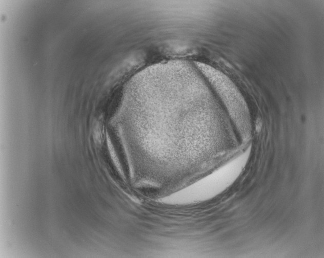 X0000061140515200512091937