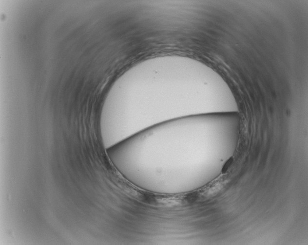 X0000061140516200512091937