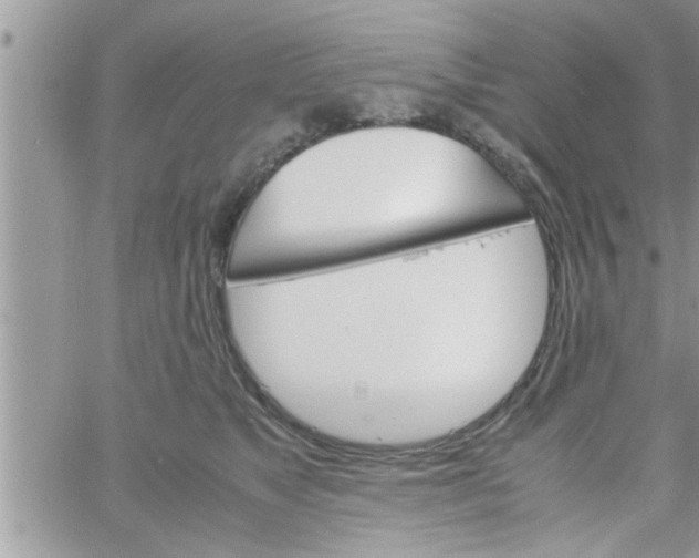 X0000061140517200512091937