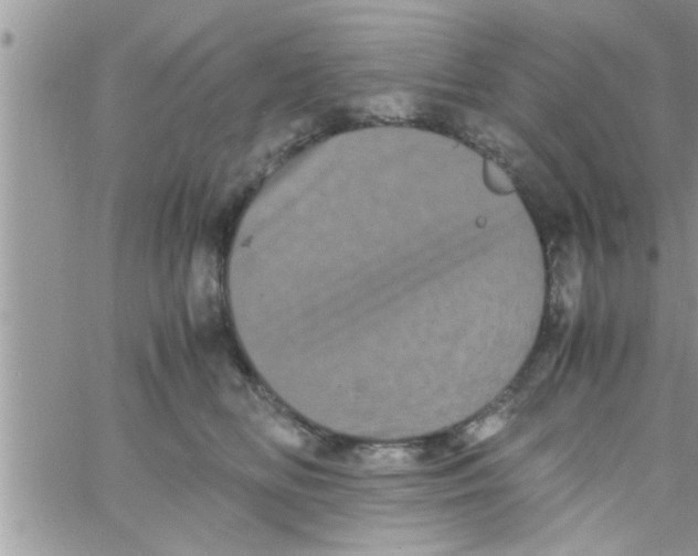 X0000061140518200512091937