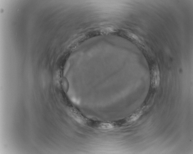 X0000061140519200512091937