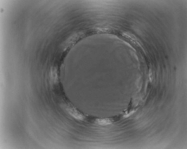 X0000061140520200512091937