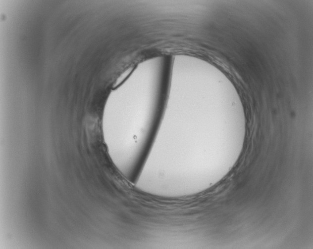 X0000061140521200512091937