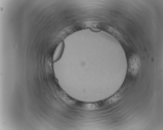 X0000061140522200512091937