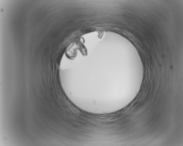 X0000061140525200512091937