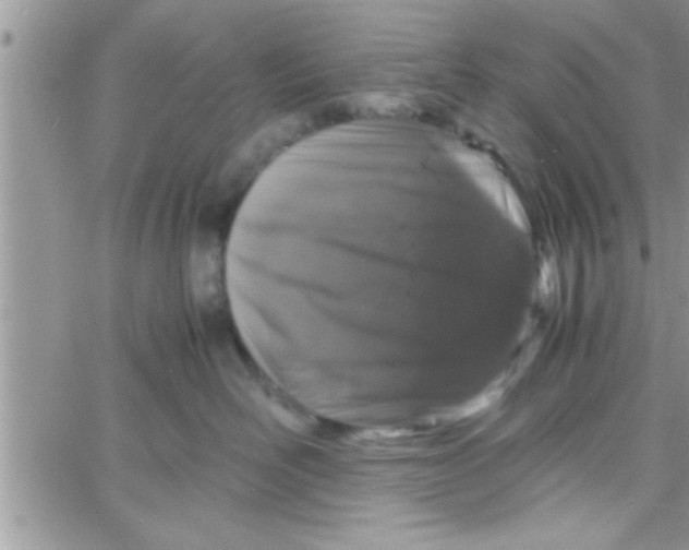 X0000061140526200512091937