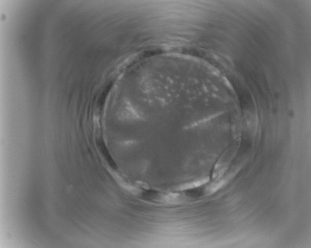 X0000061140527200512091937