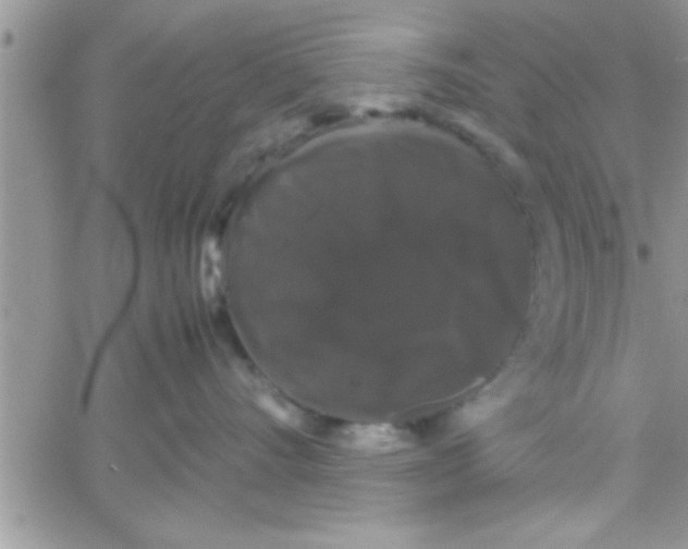 X0000061140528200512091937