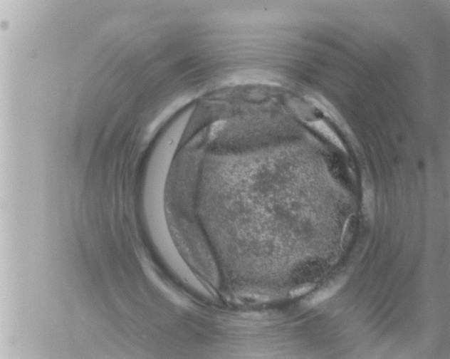 X0000061140530200512091936