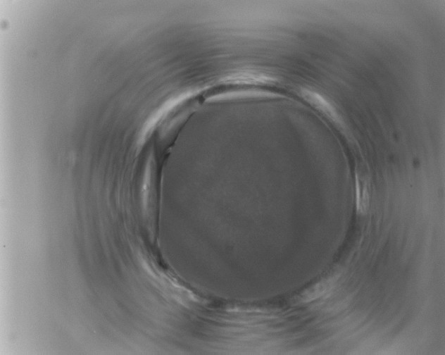 X0000061140531200512091936