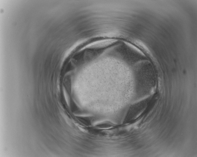 X0000061140532200512091936