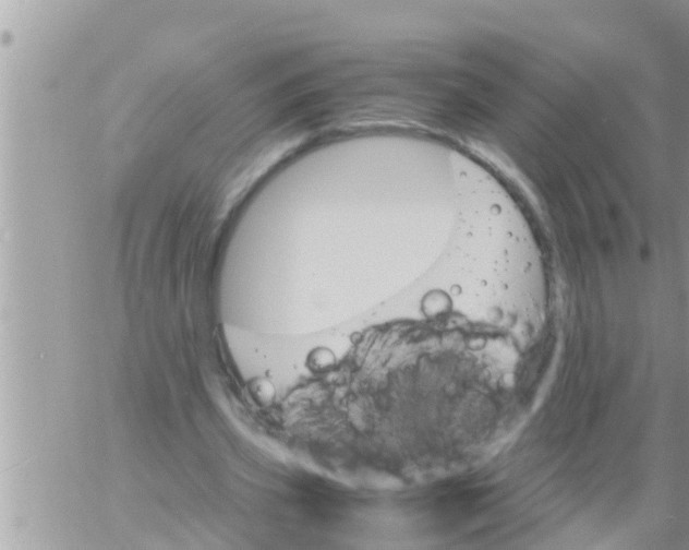 X0000061140533200512091936