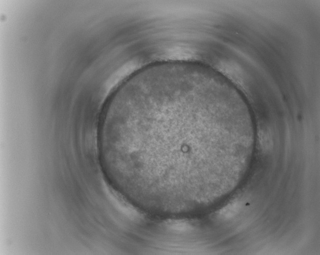 X0000061140534200512091936