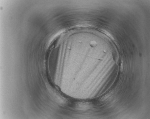 X0000061140535200512091936