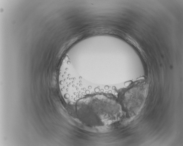 X0000061140537200512091936