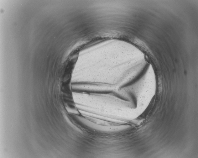 X0000061140538200512091936