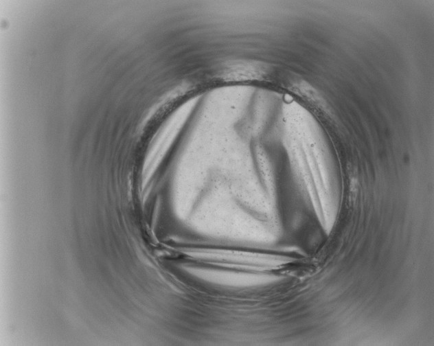 X0000061140539200512091936