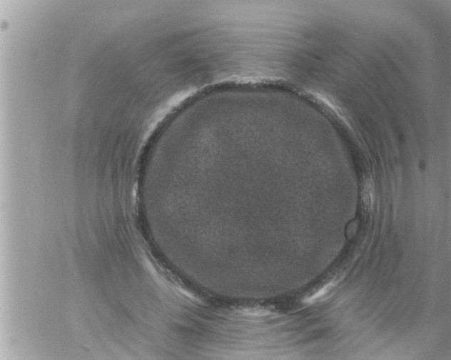 X0000061140540200512091936