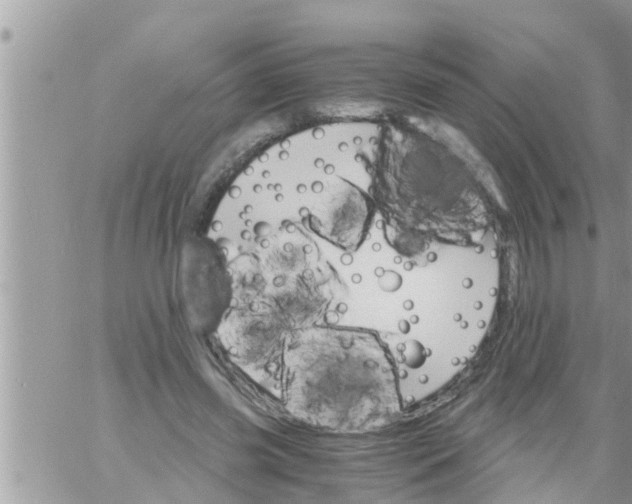 X0000061140541200512091936