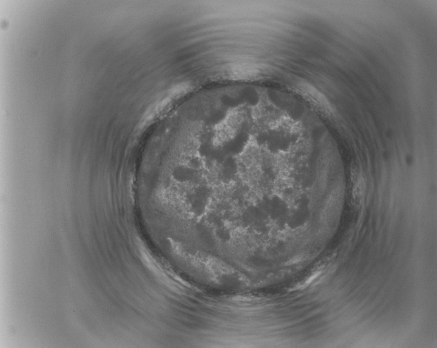 X0000061140542200512091936