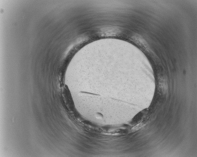 X0000061140543200512091936