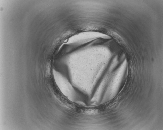 X0000061140546200512091936