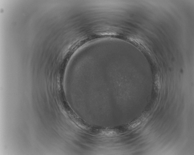 X0000061140547200512091936