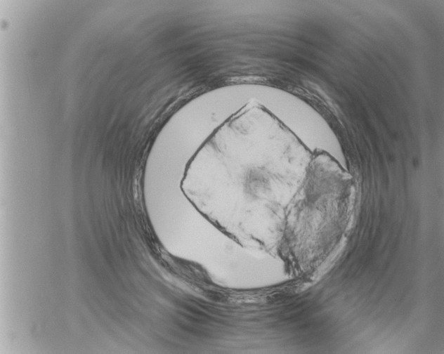 X0000061140549200512091936