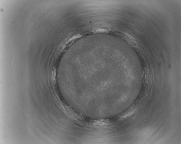 X0000061140550200512091936