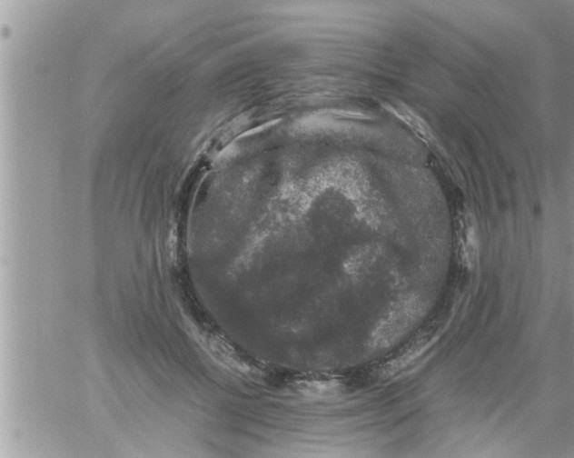 X0000061140552200512091936