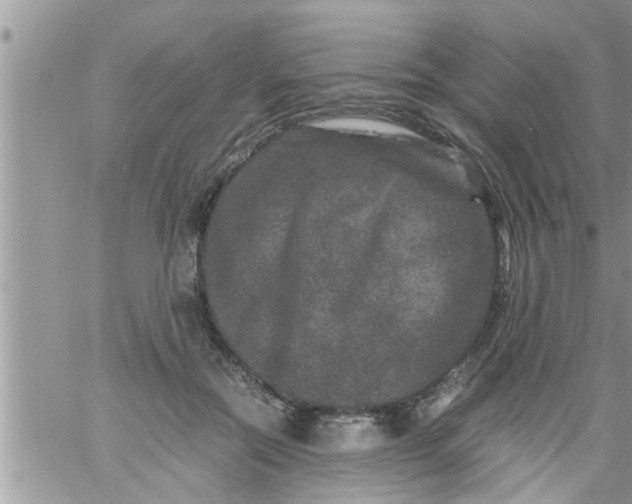 X0000061140554200512091936