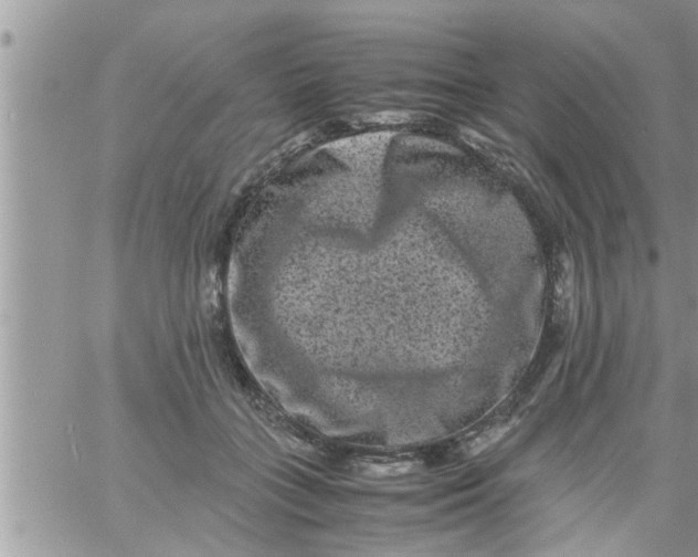 X0000061140555200512091936