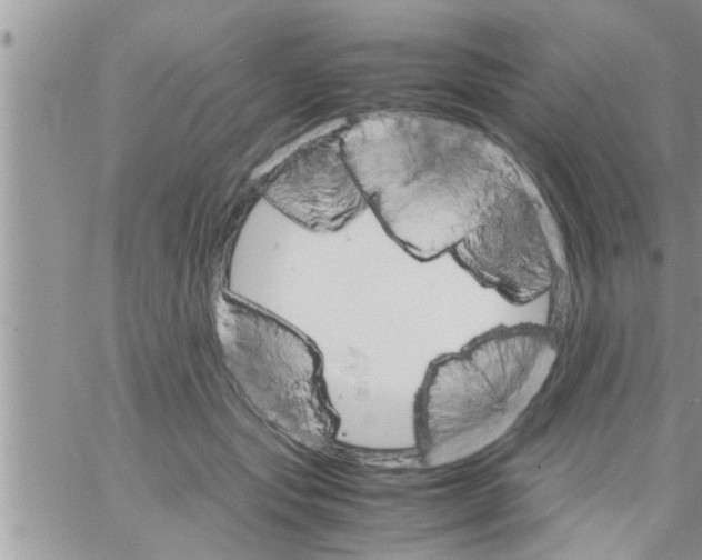 X0000061140557200512091936