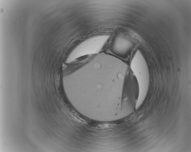 X0000061140558200512091936