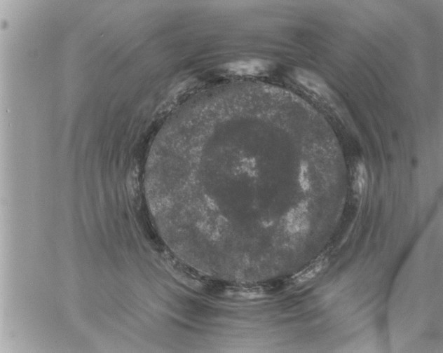 X0000061140559200512091936