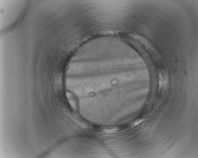 X0000061140560200512091936