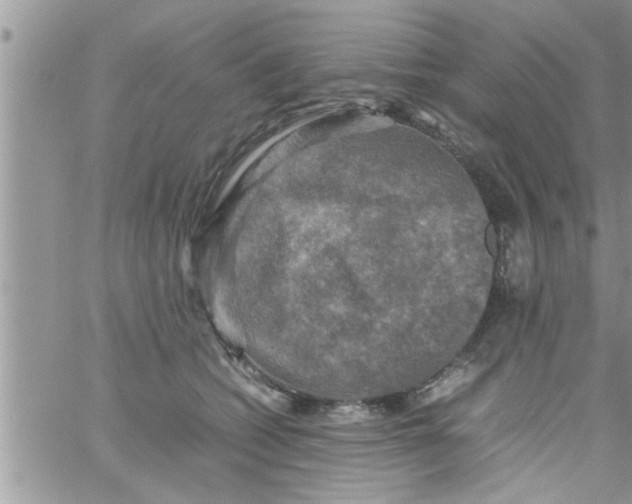 X0000061140562200512091936