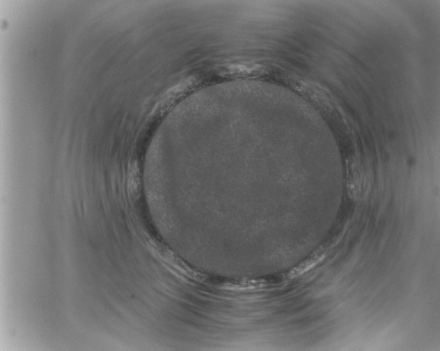 X0000061140563200512091936