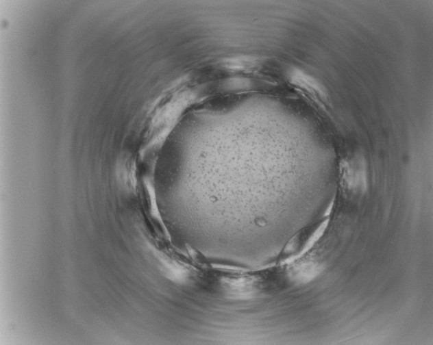 X0000061140564200512091936