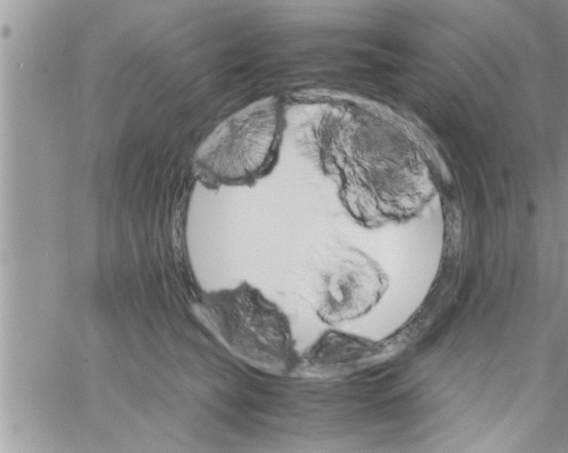 X0000061140565200512091936