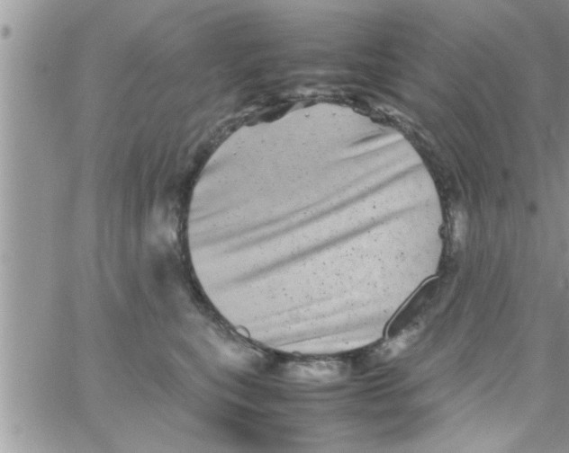 X0000061140567200512091937