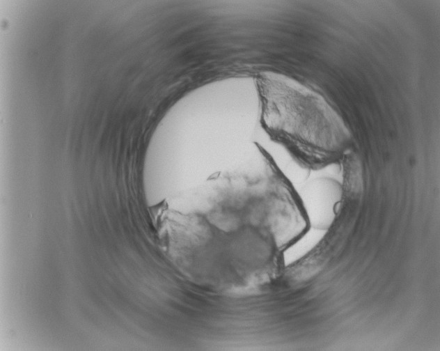 X0000061140569200512091937