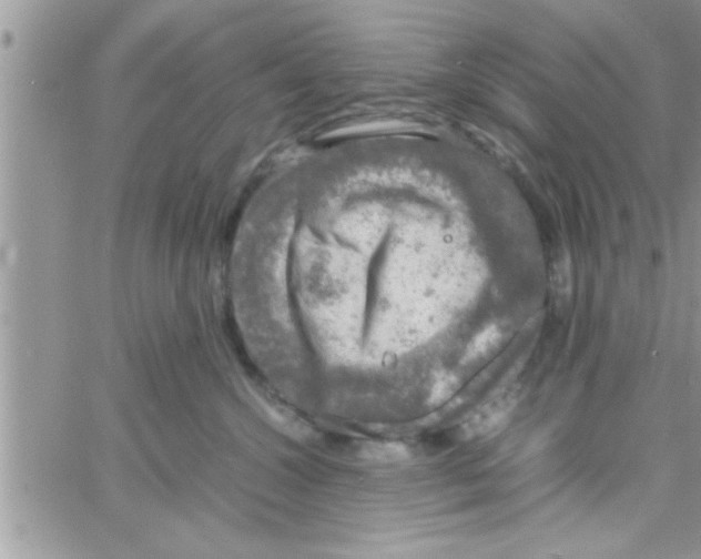 X0000061140572200512091937