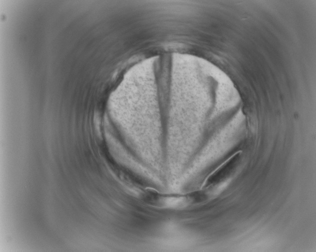 X0000061140575200512091937