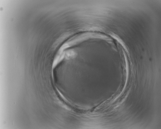 X0000061140577200512091936