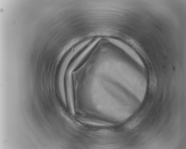 X0000061140578200512091936